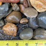 1″-2″ River Rock: smooth, rounded multicolored stones shown wet beside a tape measure