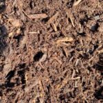 Close-up of Medium Aged Fir Bark, a brown bark mulch with chunky pieces and fibers, sold in bulk in Sherwood, OR