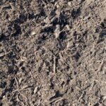 Soil Life Compost OMRI Listed Organic, a dark, fibrous compost for Portland area garden soil