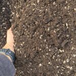 Pro-Gro Veggie Blend raised garden bed soil