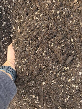 Pro-Gro Veggie Blend raised garden bed soil